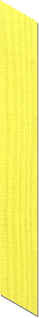 nastrino giallo asticolor