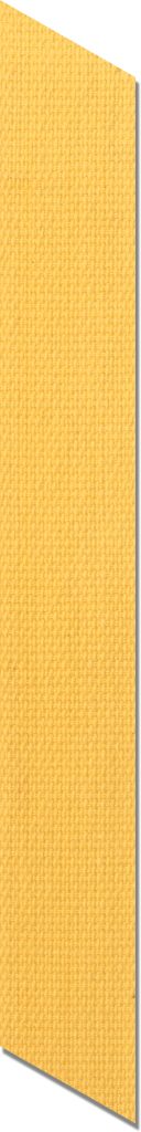 nastrino giallo girasole asticolor