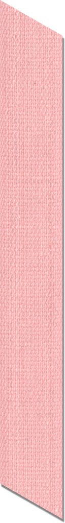 nastrino rosa asticolor